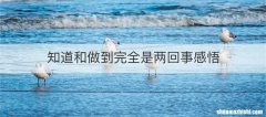 知道和做到完全是两回事感悟
