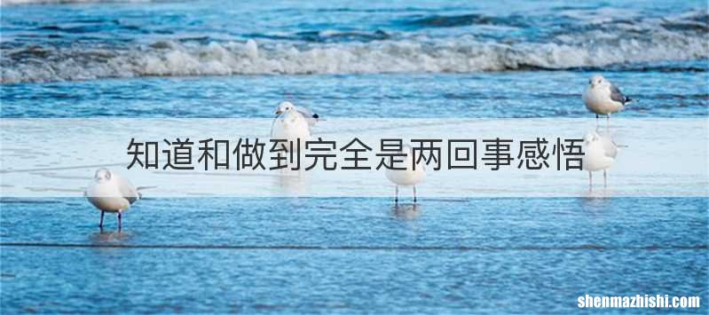 知道和做到完全是两回事感悟