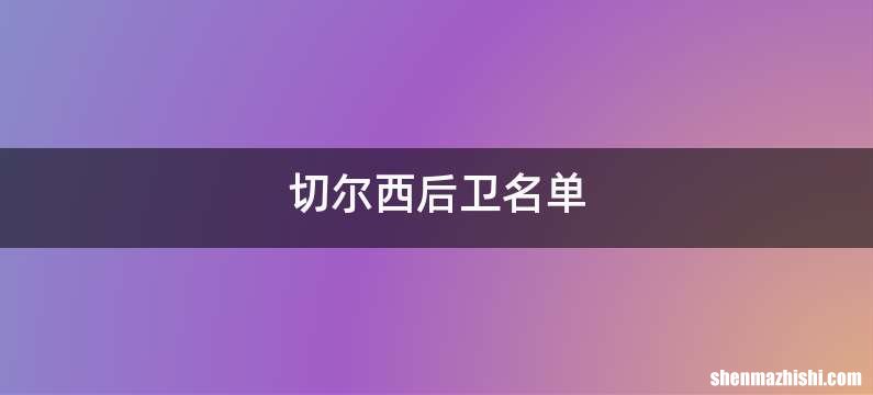 切尔西后卫名单