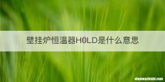 壁挂炉恒温器H0LD是什么意思