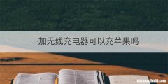 一加无线充电器可以充苹果吗