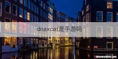 dnaxcat是手游吗
