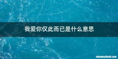 我爱你仅此而已是什么意思