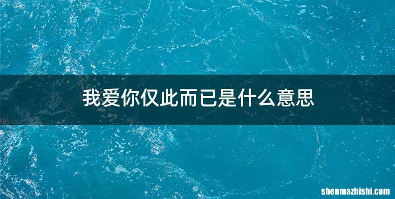 我爱你仅此而已是什么意思