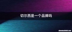 切尔西是一个品牌吗