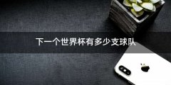 下一个世界杯有多少支球队