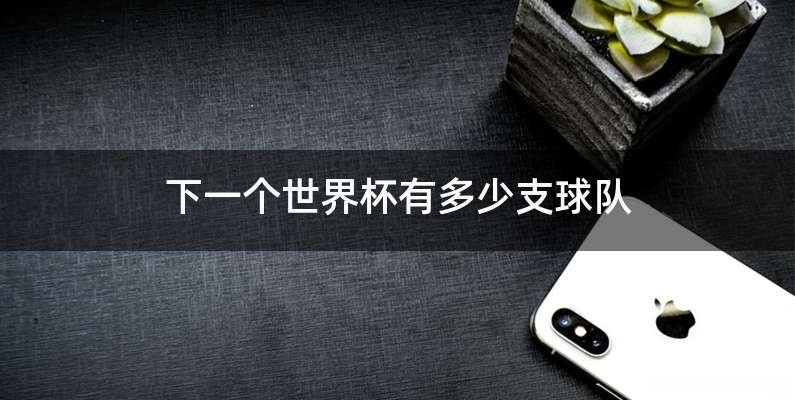 下一个世界杯有多少支球队