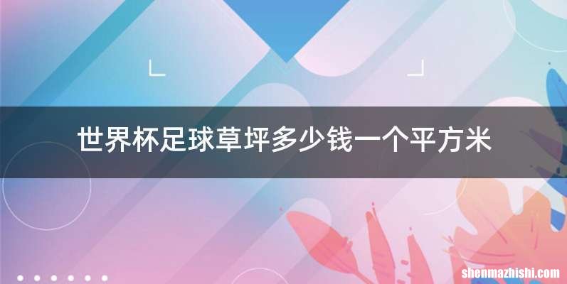 世界杯足球草坪多少钱一个平方米