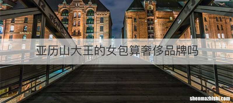 亚历山大王的女包算奢侈品牌吗