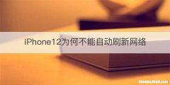 iPhone12为何不能自动刷新网络