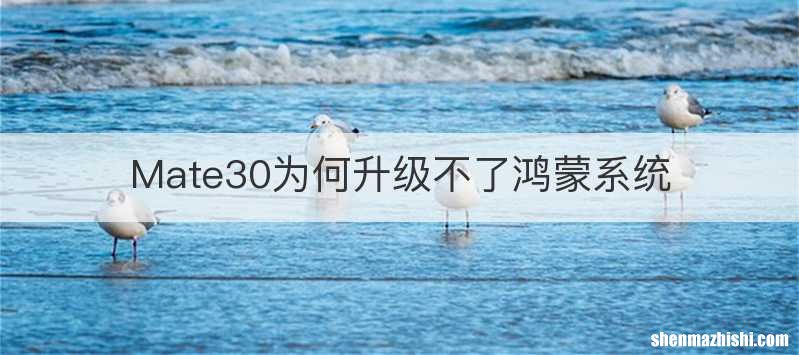 Mate30为何升级不了鸿蒙系统