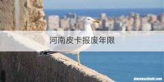 河南皮卡报废年限