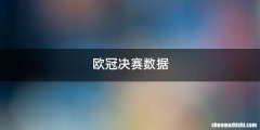 欧冠决赛数据