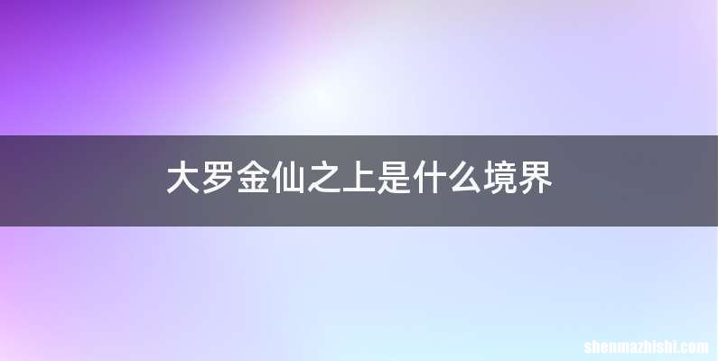 大罗金仙之上是什么境界