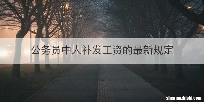 公务员中人补发工资的最新规定