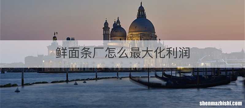 鲜面条厂怎么最大化利润