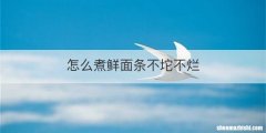 怎么煮鲜面条不坨不烂