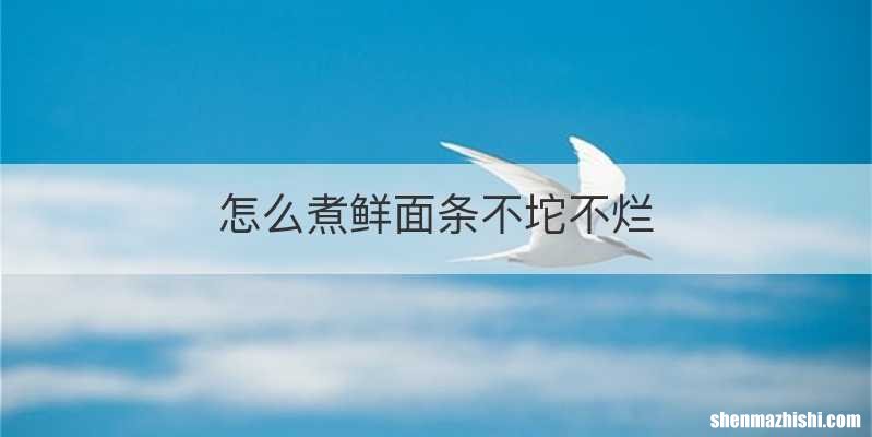 怎么煮鲜面条不坨不烂