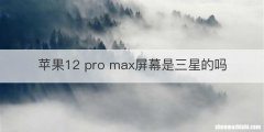 苹果12 pro max屏幕是三星的吗