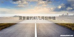菠萝蜜的籽几月份种植