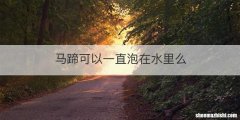 马蹄可以一直泡在水里么