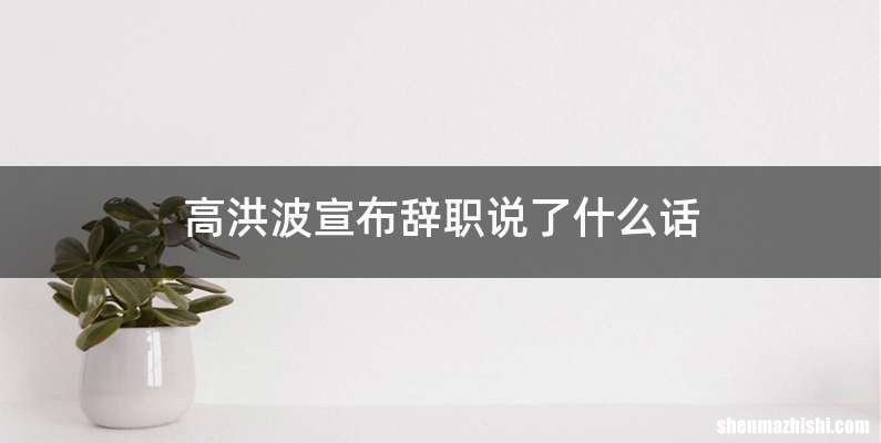 高洪波宣布辞职说了什么话