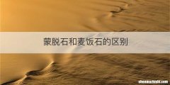 蒙脱石和麦饭石的区别