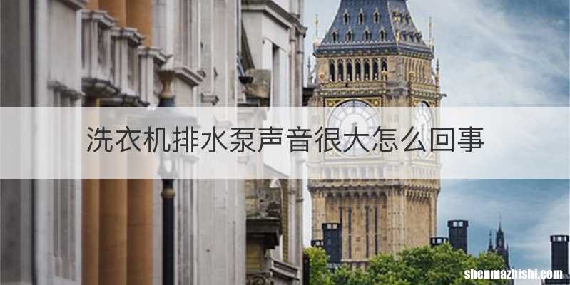 洗衣机排水泵声音很大怎么回事