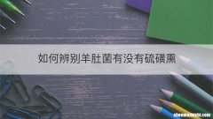 如何辨别羊肚菌有没有硫磺熏