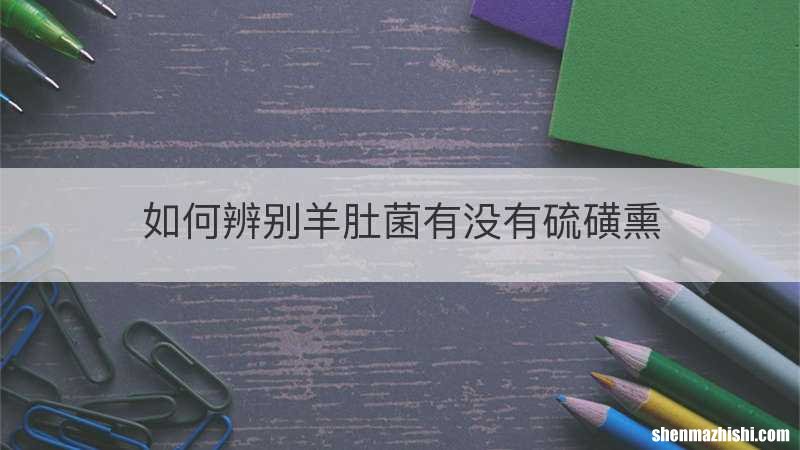 如何辨别羊肚菌有没有硫磺熏