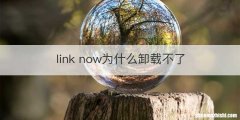 link now为什么卸载不了