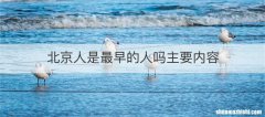 北京人是最早的人吗主要内容