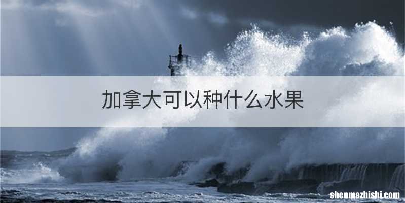 加拿大可以种什么水果