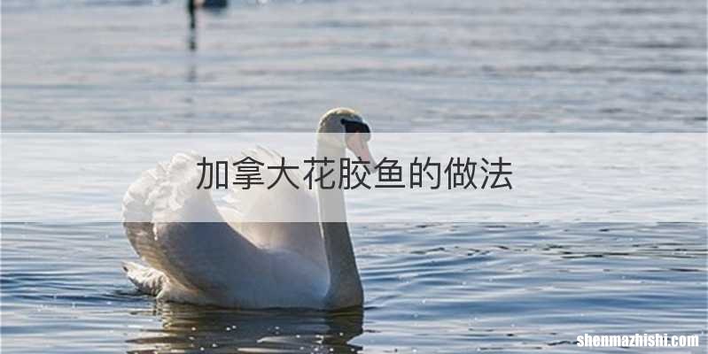 加拿大花胶鱼的做法