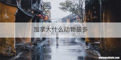 加拿大什么动物最多