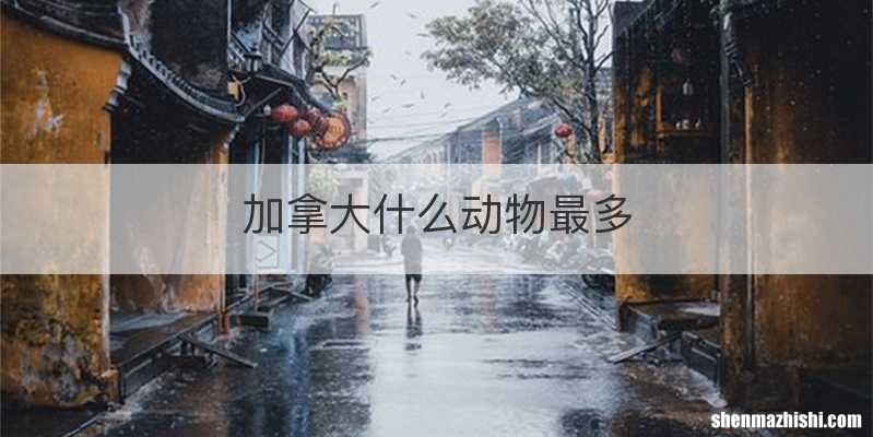 加拿大什么动物最多