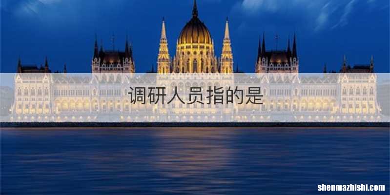 调研人员指的是