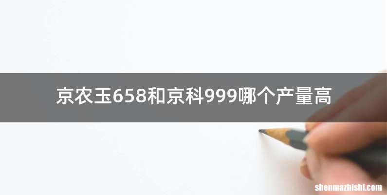 京农玉658和京科999哪个产量高