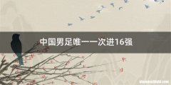 中国男足唯一一次进16强