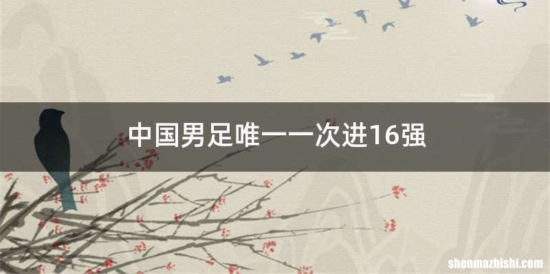 中国男足唯一一次进16强