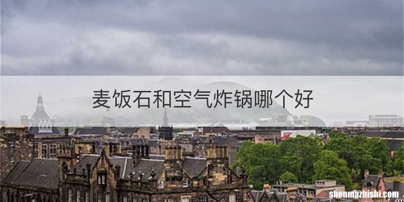 麦饭石和空气炸锅哪个好