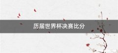 历届世界杯决赛比分