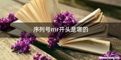 序列号mr开头是哪的