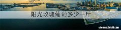 阳光玫瑰葡萄多少一斤