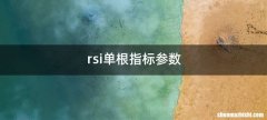 rsi单根指标参数