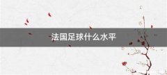 法国足球什么水平