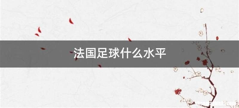 法国足球什么水平