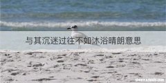 与其沉迷过往不如沐浴晴朗意思