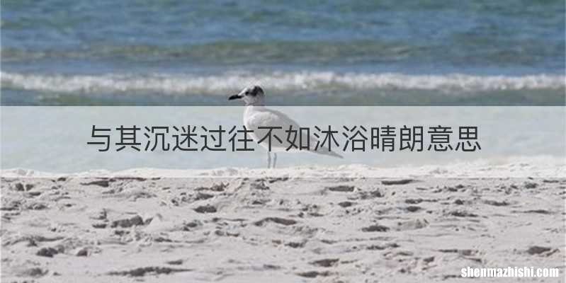 与其沉迷过往不如沐浴晴朗意思