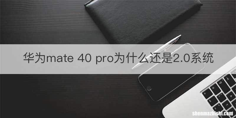 华为mate 40 pro为什么还是2.0系统